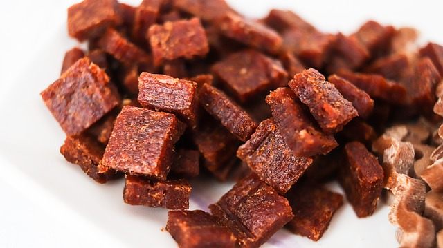 Should You Choose Grain Free Dog Food